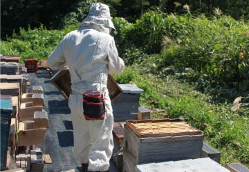 みつばちファーム眉丈 イメージ