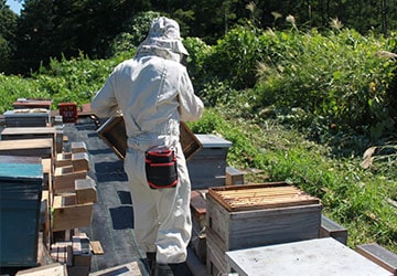 みつばちファーム眉丈 イメージ