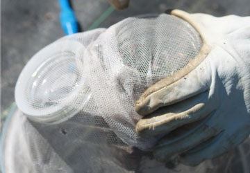 みつばちファーム眉丈 イメージ